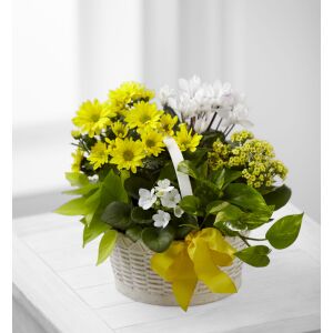 A Bit of Sunshine Basket by FTD