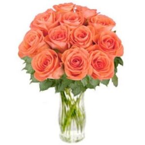 Bunch of Orange Roses Bliss (without vase)